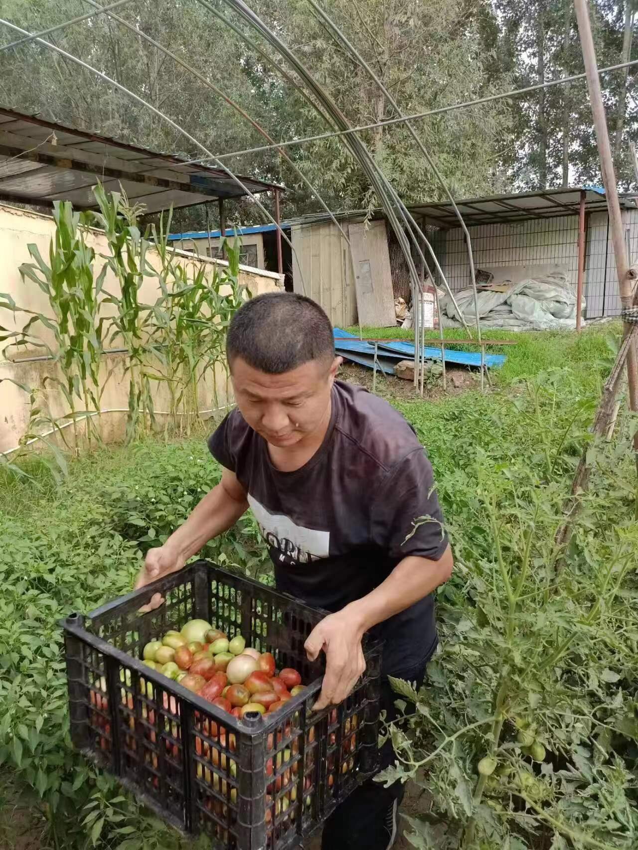 C:\Users\86183\Desktop\微信圖片_202210251107505_proc.jpg C:\Users\86183\Desktop\微信圖片_202210251107505_proc.jpg